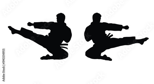 Two silhouettes demonstrate dynamic karate kicks in a striking pose