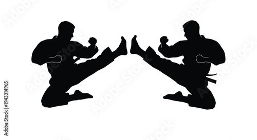 Two martial artists in dynamic kicking poses shown as a black silhouette