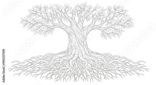 Tree with Exposed Roots Illustration.
