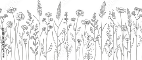 Wildflower meadow line art border, cad drawing flat vector illustration, field flower botanical sketches, summer garden plants isolated on white.