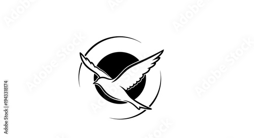 Bird flying in circular motion.