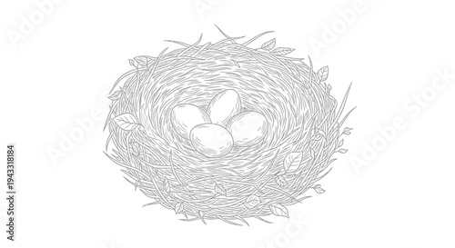 Bird Nest with Three White Eggs.