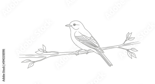 Bird Perched on a Tree Branch.