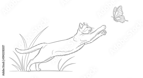 Cat jumping for butterfly outdoors.
