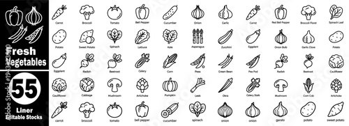 Fresh vegetables line icons, editable stock, collection of visuals, vector illustrator.