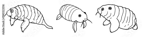 Microscopic tardigrade set with fine line art featuring biology detail, elegant thin lines, minimalist outline with illustration and vector