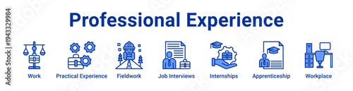 Professional Experience Icon Banner and Collection