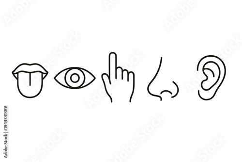 Five human senses icons in simple line art style depicting taste sight touch smell and hearing for health education and communication concepts