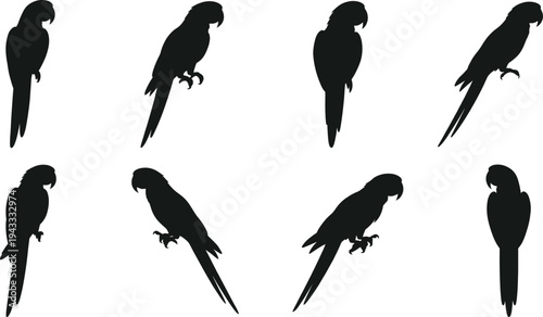 Parrot silhouette set tropical macaw bird vector isolated on white background exotic wildlife animal jungle nature summer collection parrot perching bird illustration