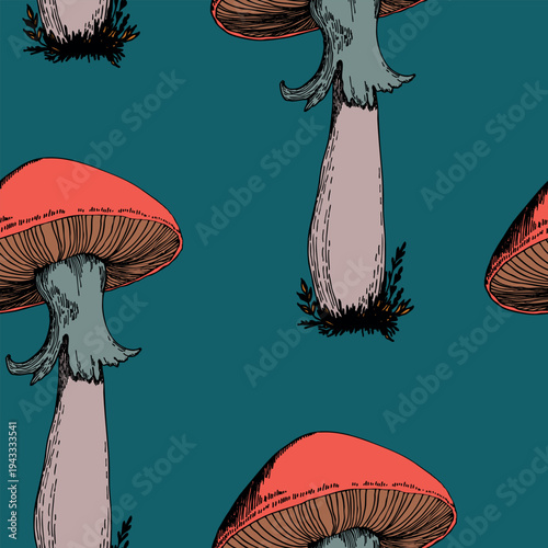 Seamless pattern with mushrooms. Hand drawn vector illustration. Vegan food menu. Poisonous and edible mushroom. Autumn mushroom picking, forest plant sketches.