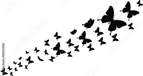 Flying butterfly silhouettes swarm vector illustration, elegant nature insects collection in motion isolated decorative design element for springFlying 