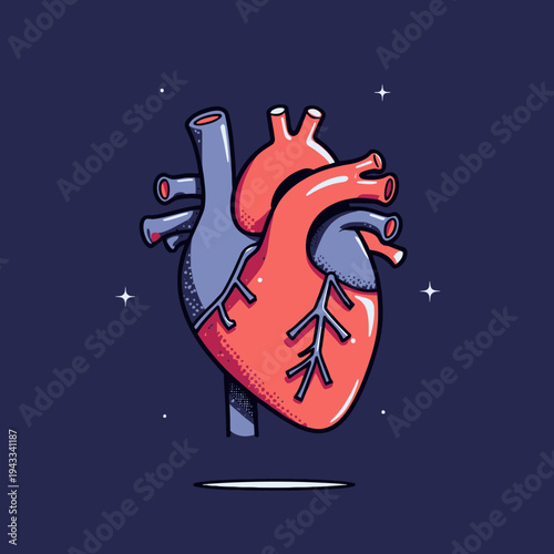 Vibrant Artistic Representation of a Human Heart with Distinct Anatomical Features and Creative Colorful Design Against a Starry Night Sky Background