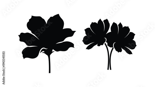 Two floral silhouettes against a white background simple botanical study silhouette