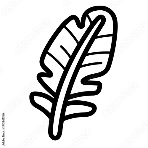 feather illustration