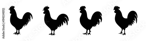 Four black rooster silhouettes vector illustration farm animal poultry design graphic resource isolated on white background