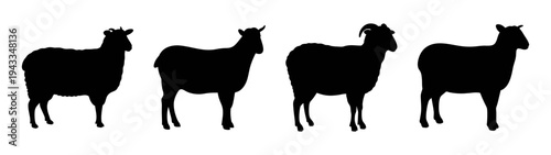 Silhouette of mouflon sheep standing in a row vector illustration wildlife animals art design