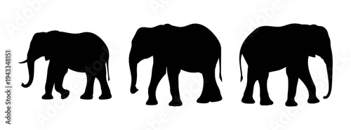 Three black elephant silhouette vector graphic for wildlife animal lovers and design enthusiasts alike