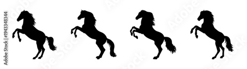 Horse silhouette vector image of rearing horses black and white equine art illustration design graphic