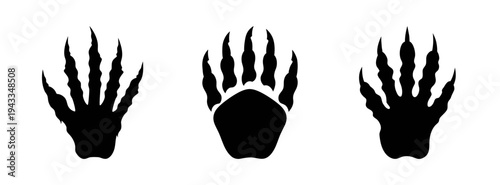 Animal tracks identification guide: opossum, raccoon, and mink paw prints vector illustration