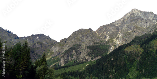 Konstfotografi Majestic mountain peak with dense pine forest and snow isolated on white