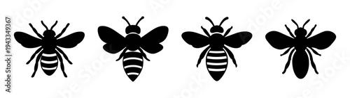 Collection of insect silhouettes vector graphics featuring wasp and butterfly designs for art use