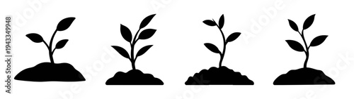 Illustration of growing plants seedlings in soil for gardening and agriculture concept design use