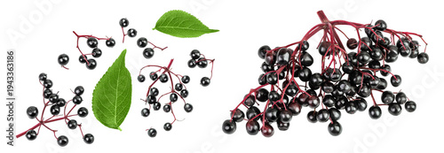 Ripe black elderberry or elder isolated on a white background. Sambucus. Top view. Flat lay