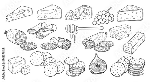 Illustration showing various cheeses meats crackers and fruits for charcuterie