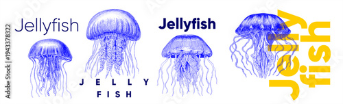 Illustration showcasing various jellyfish designs with artistic typography. The image features detailed line art of jellyfish in blue, accompanied by bold text elements.