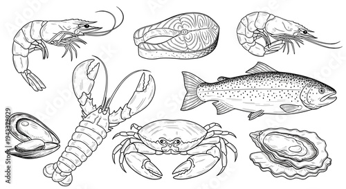 Assorted Seafood Delicacies Outline Art: Fish Crustaceans and Mollusks Illustration