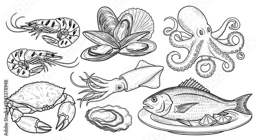 A collection of fresh seafood hand-drawn in an illustration style