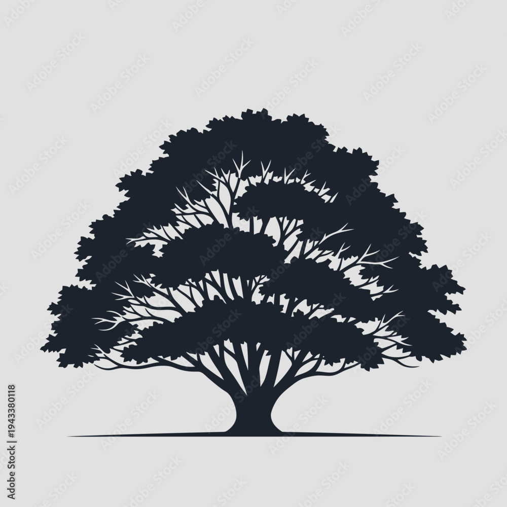 Fototapeta premium Silhouette of a large, mature oak tree with a full canopy, isolated on a plain background.
