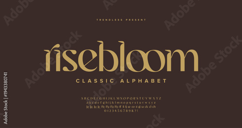 Rise Bloom: Elegant decorative serif typeface with soft romantic character. Features full alphabet, numerals, ligatures, and stylistic alternates. Ideal for invitations, branding, packaging.