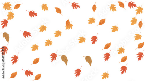 Beautiful autumn falling leaves composition with various orange and yellow foliage isolated on white background