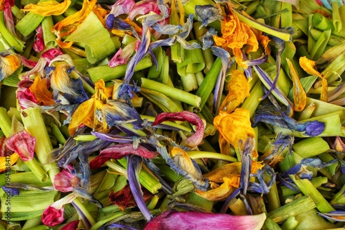 Top view of chopped green plant stems mixed with various colorful withered flower petals including yellow, blue, and purple. Organic botanical waste or compost material texture for garden background
