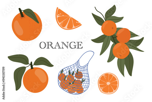 Hand drawn vector set of fresh orange fruits, whole oranges with green leaves, citrus slices, and a mesh shopping bag