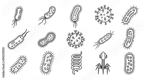 Microscopic view of various bacterial species