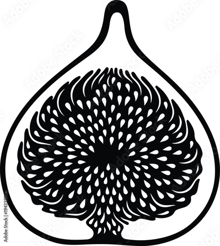Silhouette of a cut fig fruit showing internal seeds vector illustration