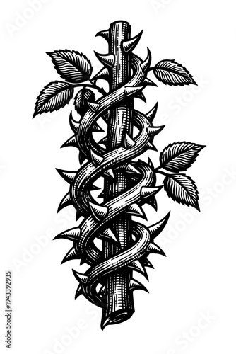 Intricate black and white woodcut illustration depicting a thorny vine tightly wrapped around a rustic wooden branch, adorned with detailed leaves. A classic vintage engraving style botanical design,