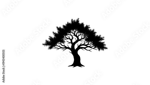 Elegant silhouette of tree with lush canopy and branches
