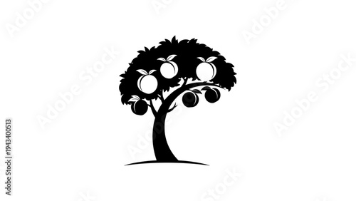 Silhouette of fruit tree with elegant branches and ripe peaches