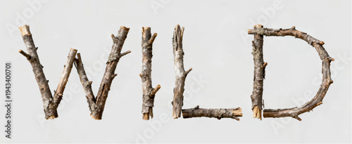A vector illustration of a minimalist poster with the word WILD, which consists of broken branches with peeling bark.