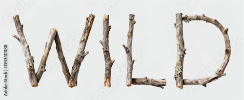 A vector illustration of a minimalist poster with the word WILD, which consists of broken branches with peeling bark.