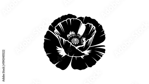 Black silhouette poppy flower design with intricate petal details