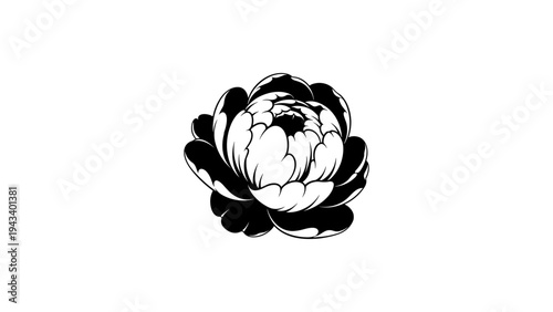 Detailed black and white floral bloom design with intricate petals