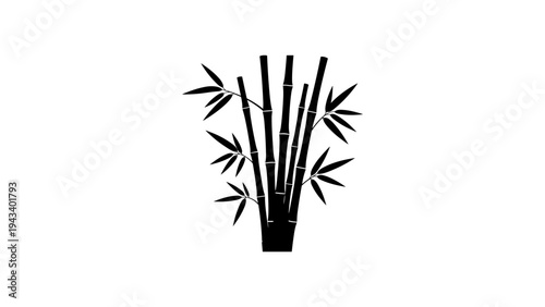 Minimalist black bamboo silhouette with leaves on white background