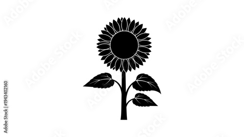 Elegant sunflower silhouette with detailed petals and leaves on white background
