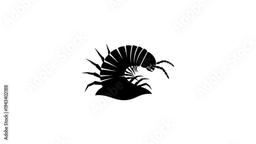 Silhouette of armadillo insect with detailed legs on white background