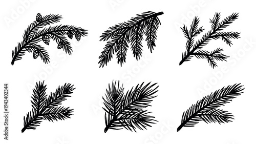 Set of six hand-drawn black fir tree branches with needles and pinecones in a graphic sketch style, perfect for winter holiday and nature-themed designs