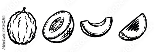 Set of four melon illustrations in a hand-drawn ink brush style showing a whole fruit, half, slice, and wedge in a simple black and white graphic design
